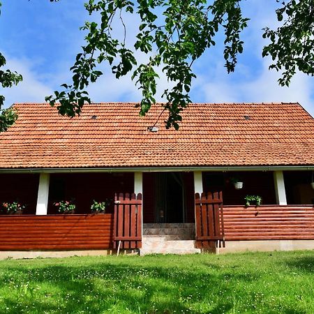 House Luna Rakovica Bagian luar foto