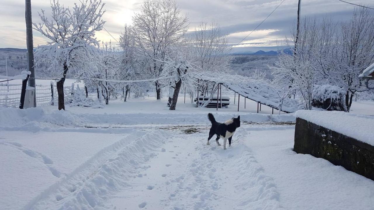 House Luna Rakovica Bagian luar foto