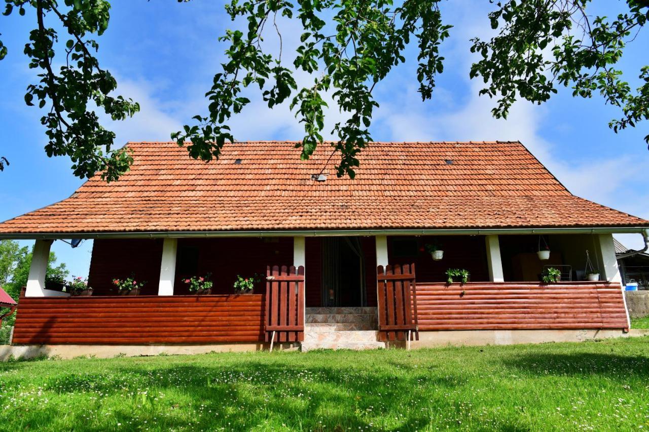House Luna Rakovica Bagian luar foto