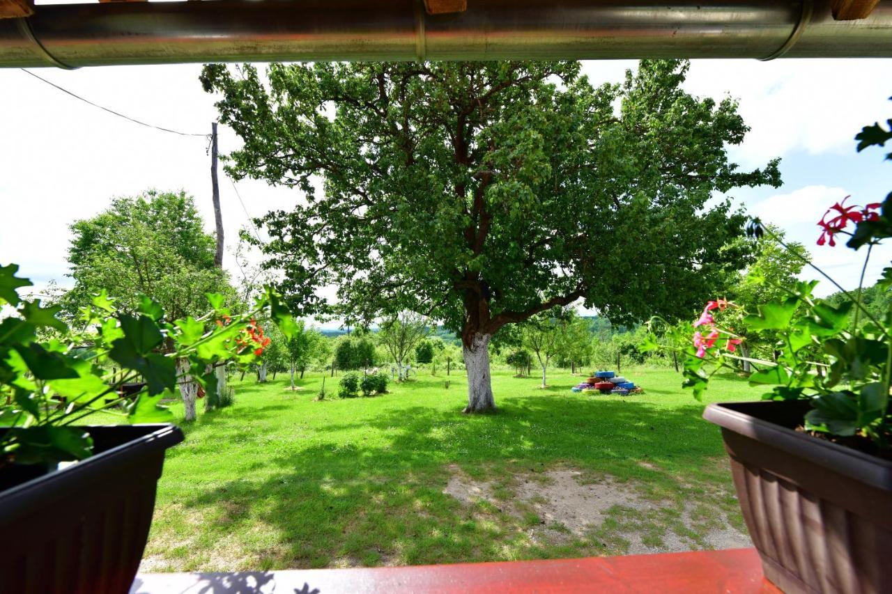 House Luna Rakovica Bagian luar foto