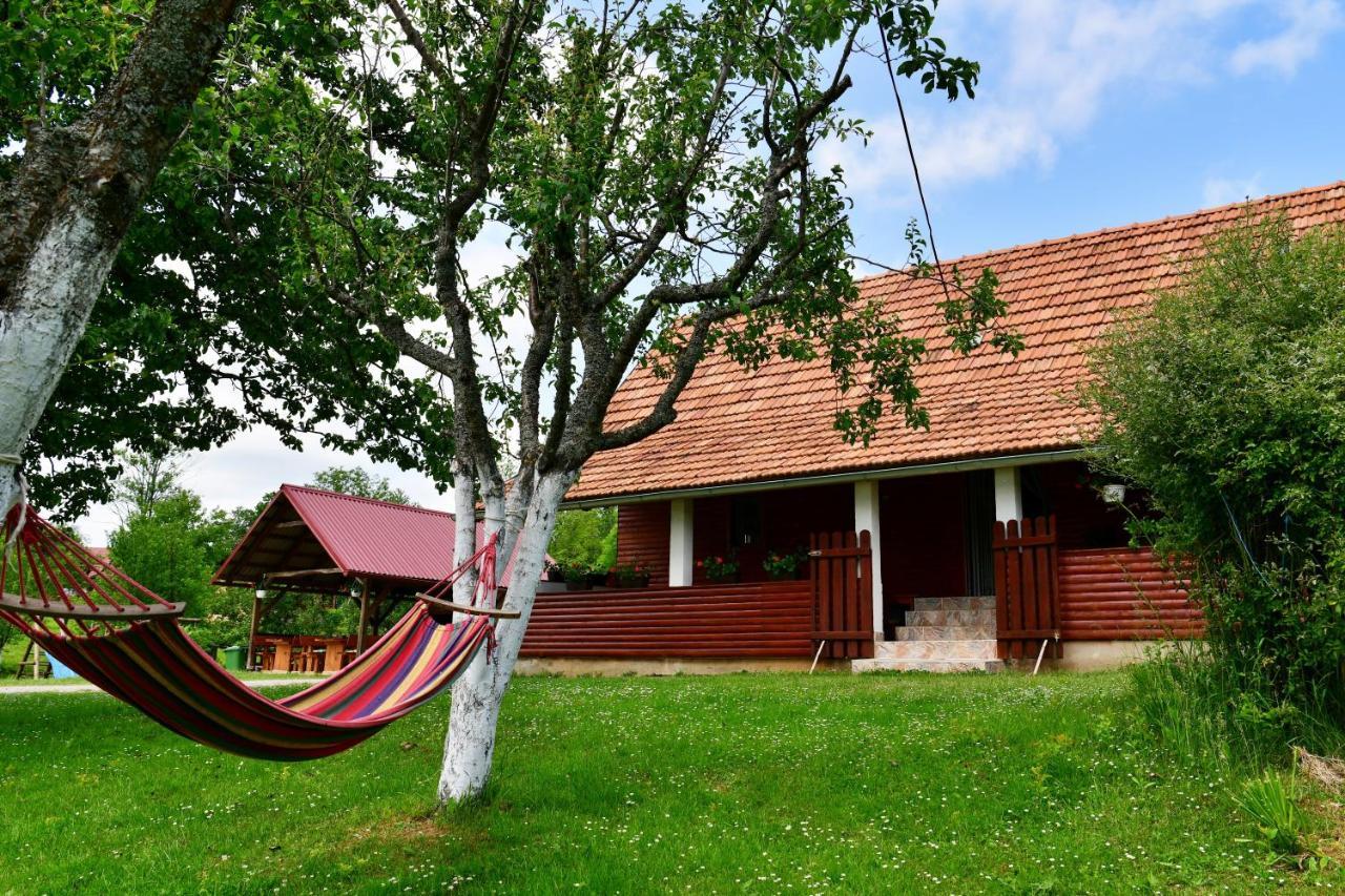 House Luna Rakovica Bagian luar foto