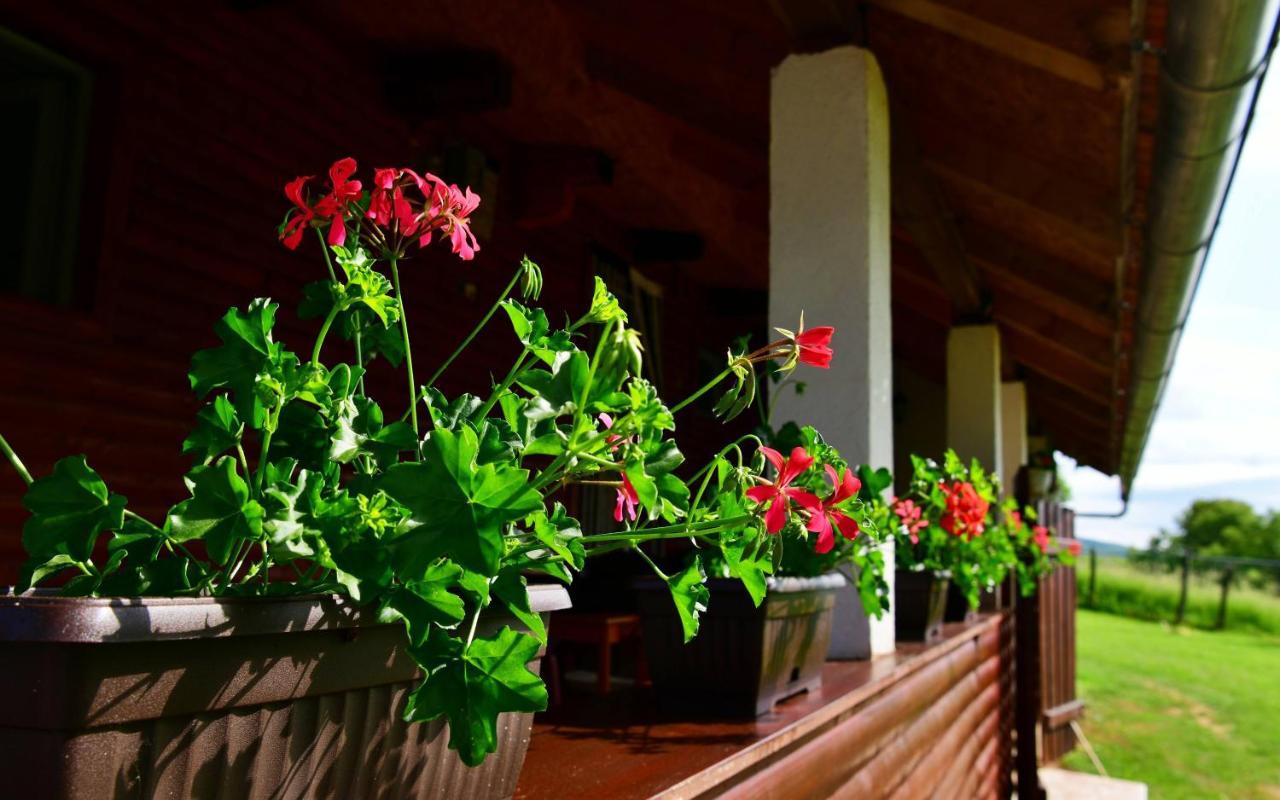 House Luna Rakovica Bagian luar foto