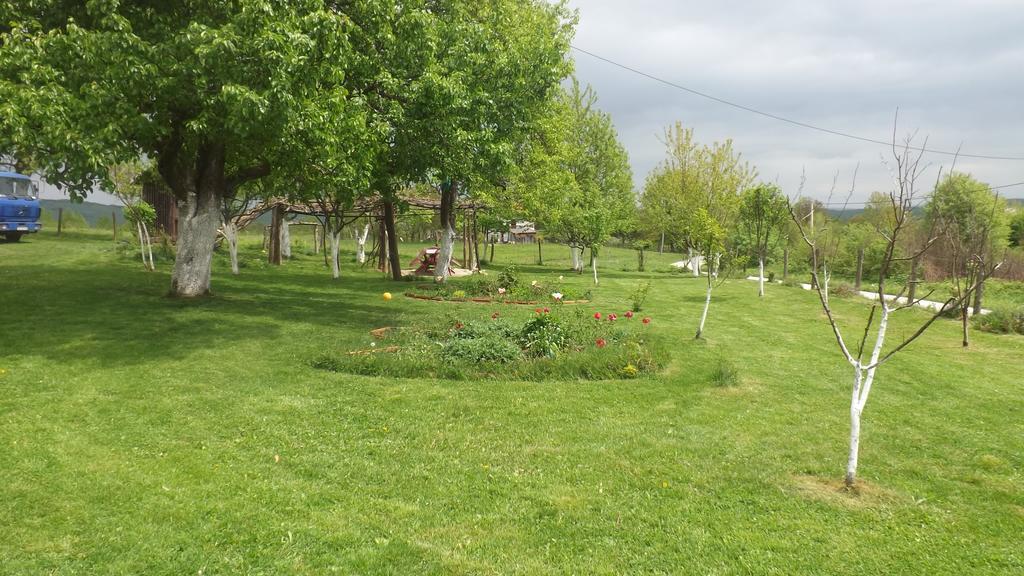 House Luna Rakovica Bagian luar foto