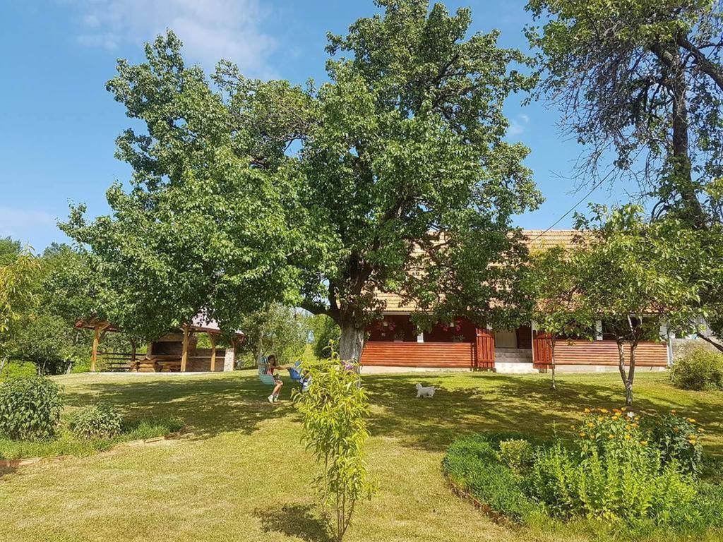 House Luna Rakovica Bagian luar foto