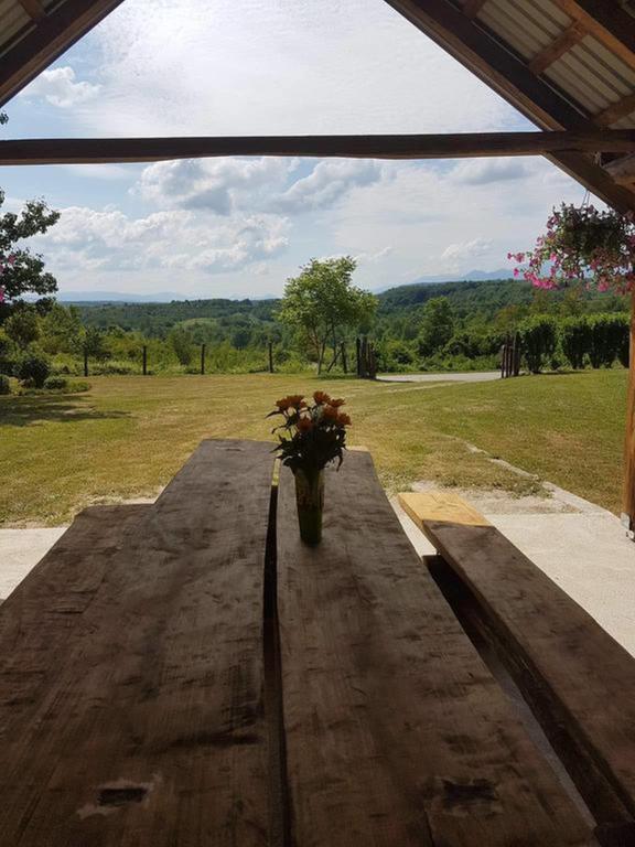 House Luna Rakovica Bagian luar foto